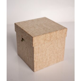 三代 鈴木表朔 鈴木雅也 透胎曲輪平棗　Q359 