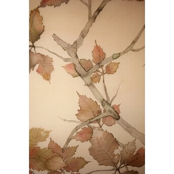 松林桂月 紅葉に鳥 絹本まくり　Z509 