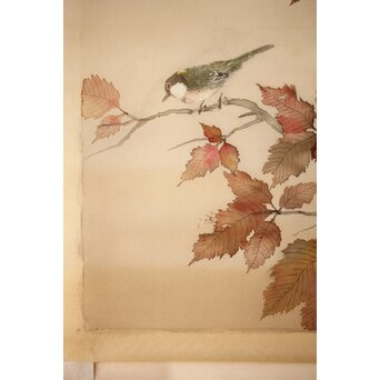 松林桂月 紅葉に鳥 絹本まくり　Z509 