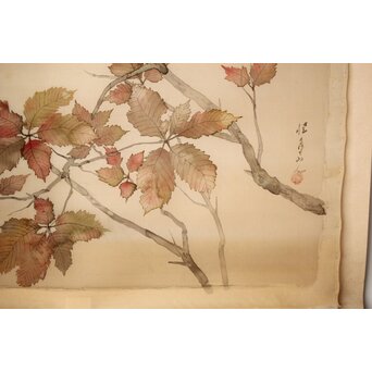 松林桂月 紅葉に鳥 絹本まくり　Z509 