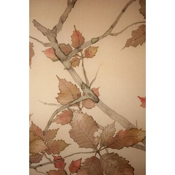 松林桂月 紅葉に鳥 絹本まくり　Z509 