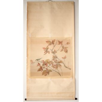 松林桂月 紅葉に鳥 絹本まくり　Z509 