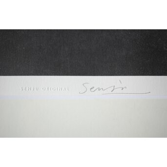 千住博「滝・崖の木」Hiroshi Senju Water fall リトグラフ 額装　Z513 