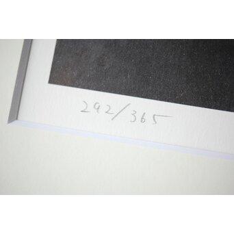 千住博「滝・崖の木」Hiroshi Senju Water fall リトグラフ 額装　Z513 