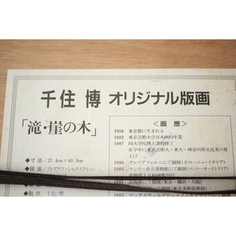 千住博「滝・崖の木」Hiroshi Senju Water fall リトグラフ 額装　Z513 