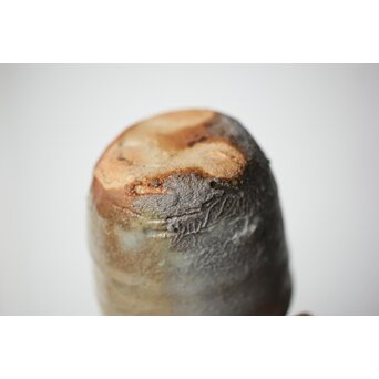 沖縄の鬼才 國吉清尚/国吉 焼締 湯呑 酒杯　P481 