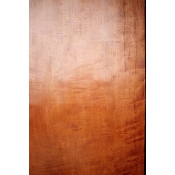 黒枠 虎斑 巨大一枚板の帯戸 在庫3枚　B1069 