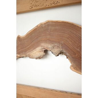 自然木の板戸 2枚1組　B1071 