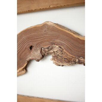 自然木の板戸 2枚1組　B1071 