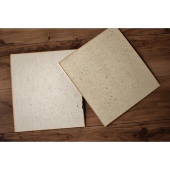 勅使河原 蒼風 金紙色紙一字 水墨 2枚1組　Z528 