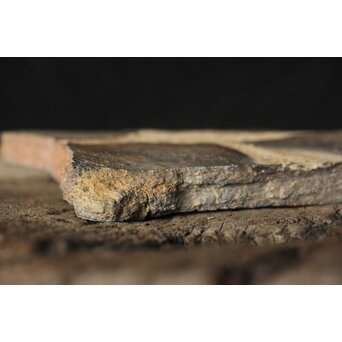 備前 窯道具 牡丹餅 陶板　P486 