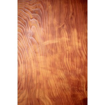 黒枠 杉一枚板 板戸 4枚1組　B1075Y 