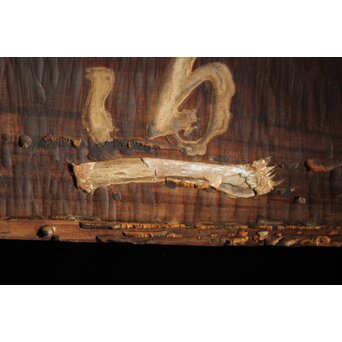 清巌宗渭 和尚 臨済宗僧「悟道」二字 篆刻 濡額　Z535 