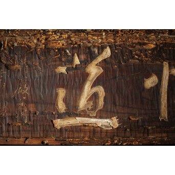 清巌宗渭 和尚 臨済宗僧「悟道」二字 篆刻 濡額　Z535 