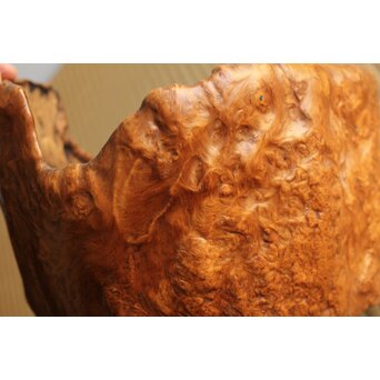 瘤木 自然木の刳貫瓶掛/煎茶盆 2枚1組　X469 