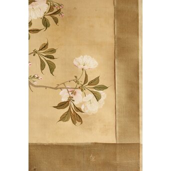 湖南画 桜図 絹本掛軸　Z540 