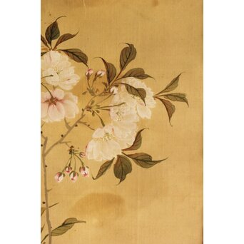 湖南画 桜図 絹本掛軸　Z540 