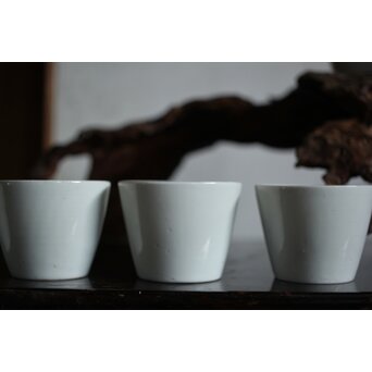 古伊万里 白磁 猪口 9客　P497 