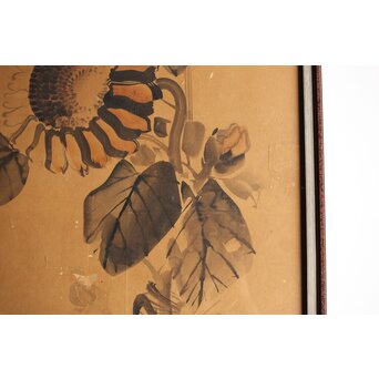 寺崎広業/廣業 ひまわり 紙本額装　Z553 