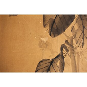 寺崎広業/廣業 ひまわり 紙本額装　Z553 