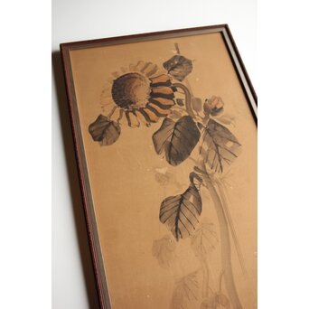 寺崎広業/廣業 ひまわり 紙本額装　Z553 