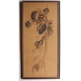 寺崎広業/廣業 ひまわり 紙本額装　Z553