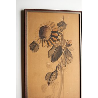 寺崎広業/廣業 ひまわり 紙本額装　Z553 