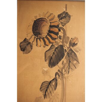 寺崎広業/廣業 ひまわり 紙本額装　Z553 
