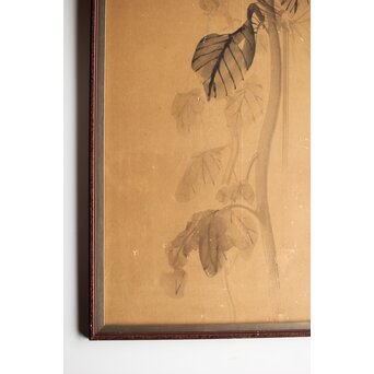 寺崎広業/廣業 ひまわり 紙本額装　Z553 