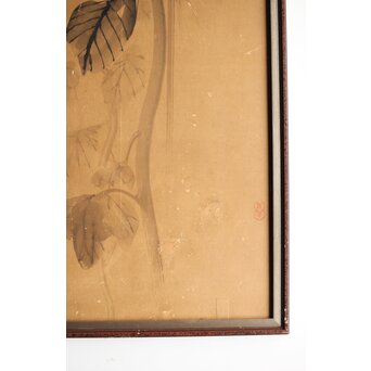 寺崎広業/廣業 ひまわり 紙本額装　Z553 