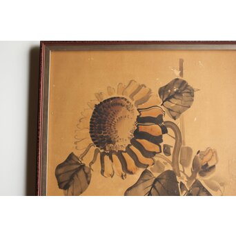 寺崎広業/廣業 ひまわり 紙本額装　Z553 