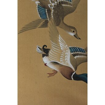 倣 松村景文 群鴨図 絹本軸装　Z560 