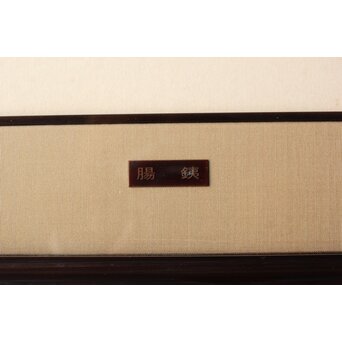 書家 青山杉雨【鉄腸】大作 紙本 額装　Z561 