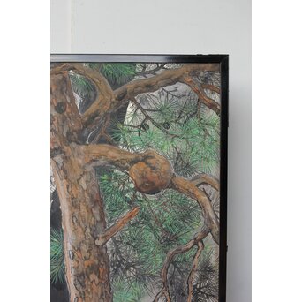 堀田秀叢 鷹松図 一双 銀屏風　Z563 