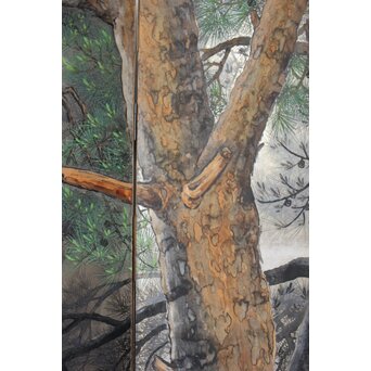 堀田秀叢 鷹松図 一双 銀屏風　Z563 