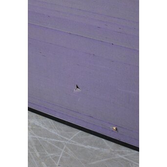 堀田秀叢 鷹松図 一双 銀屏風　Z563 