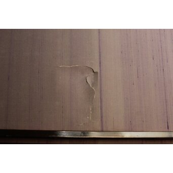 堀田秀叢 鷹松図 一双 銀屏風　Z563 