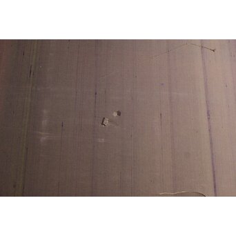 堀田秀叢 鷹松図 一双 銀屏風　Z563 