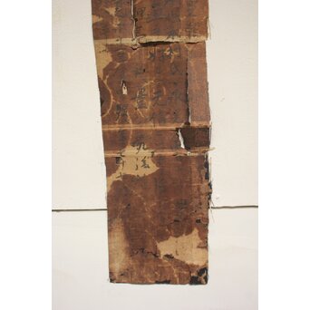 伝 狩野山楽 光頼 龍表装 紙本 虎図 額装　Z568 