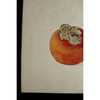 伊東深水 静物画 色紙　Z570 