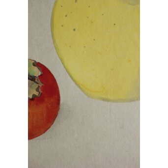 伊東深水 静物画 色紙　Z570 