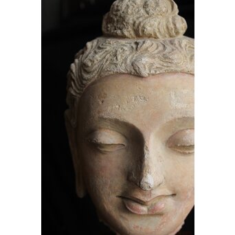 ガンダーラ美術 ストゥッコ 仏頭　X573 