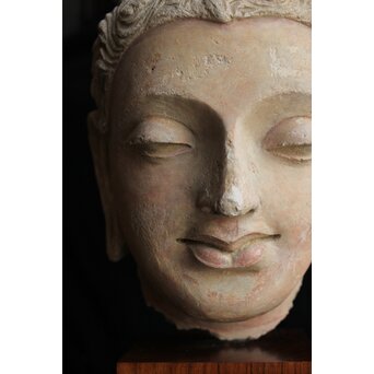 ガンダーラ美術 ストゥッコ 仏頭　X573 
