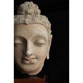 ガンダーラ美術 ストゥッコ 仏頭　X573 