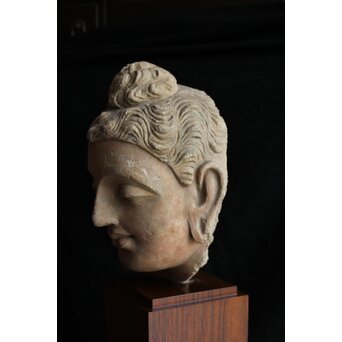 ガンダーラ美術 ストゥッコ 仏頭　X573 