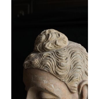 ガンダーラ美術 ストゥッコ 仏頭　X573 