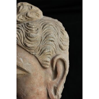 ガンダーラ美術 ストゥッコ 仏頭　X573 