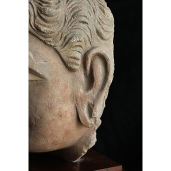 ガンダーラ美術 ストゥッコ 仏頭　X573 