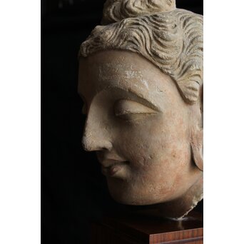 ガンダーラ美術 ストゥッコ 仏頭　X573 