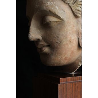 ガンダーラ美術 ストゥッコ 仏頭　X573 